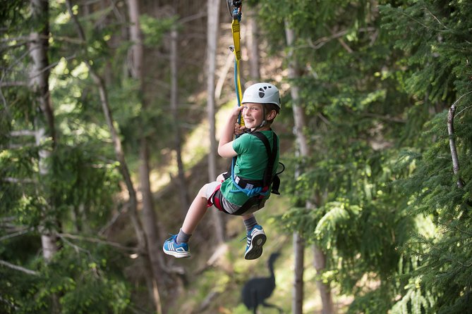 Small-Group Zipline Adventure in Queenstown - Choosing between the three zipline courses