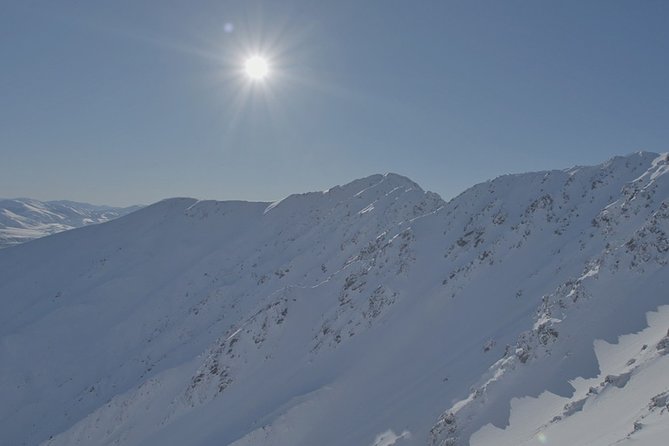 Southern Alps Scenic - Who will enjoy Chest Peak most?