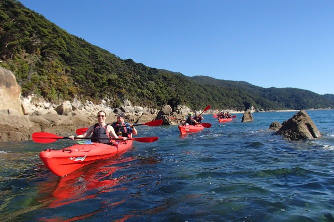 Southern Duo kayak & walk tour - A full day in Abel Tasman, not just a quick paddle