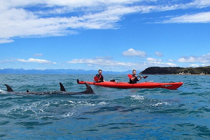 Southern Duo kayak & walk tour - Why the two-part format works