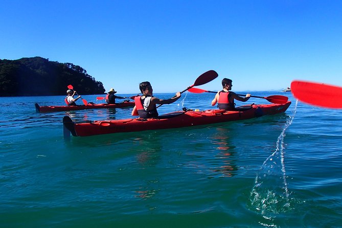 Southern Duo kayak & walk tour - Small-group guidance and the feel of the day