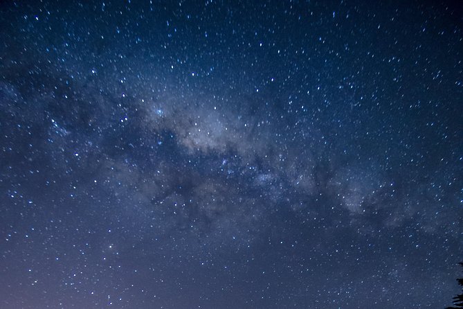 Southern Skies Stargazing Tour in Dunedin - The Otago Peninsula farm: stories, supper, and the first stars