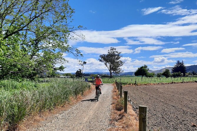 Spooners Tunnel to Nelson One Day Cycle Self Guided Tour - Who will enjoy this Nelson cycle tour?