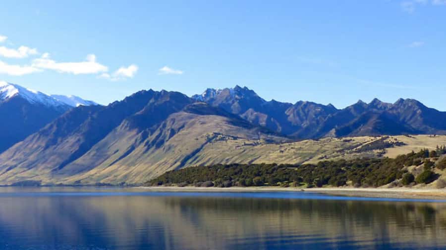 Stevensons Island 2-Hour Cruise and Nature Walk - Booking advice for the $50 price