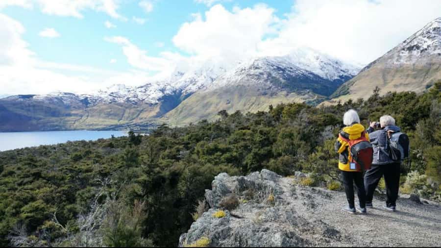 Stevensons Island 2-Hour Cruise and Nature Walk - You do not have to climb to the summit