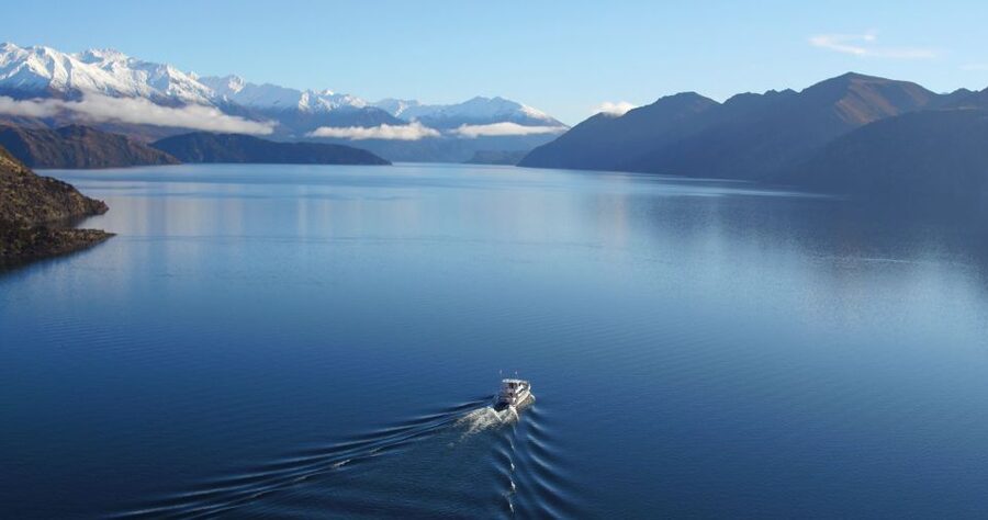 Stevensons Island 2-Hour Cruise and Nature Walk - The return ride and the promised afternoon tea