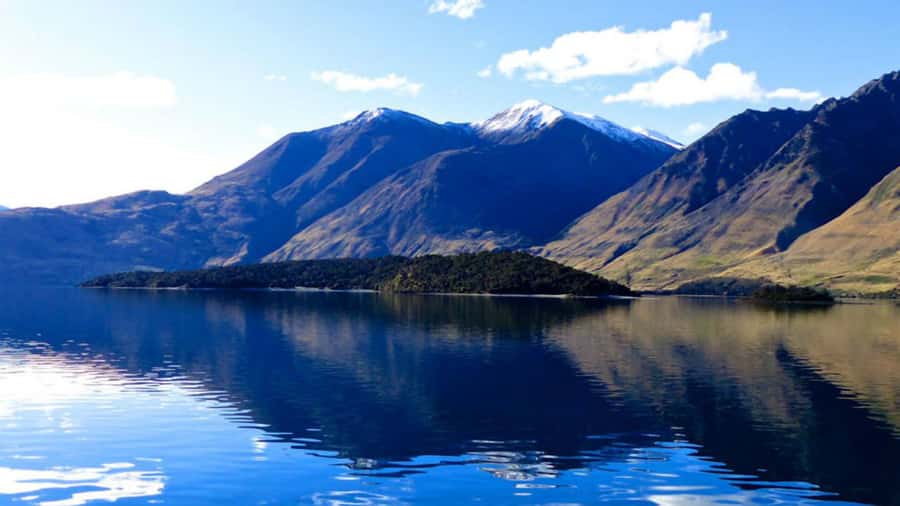 Stevensons Island 2-Hour Cruise and Nature Walk - Who will enjoy this cruise most