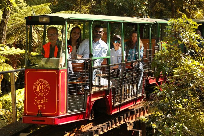 [Stevong Travel] West Coromandel Day Tour - Why this private Coromandel day works from Auckland