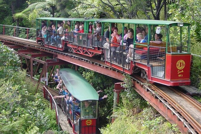 [Stevong Travel] West Coromandel Day Tour - Two hours underground at the Thames Goldmine Experience