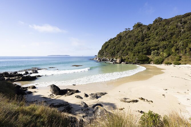 Stewart Island: Guided Wilderness Walk - Why Oneke makes a worthwhile Stewart Island outing