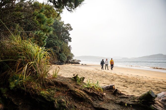 Stewart Island: Guided Wilderness Walk - A small group changes the experience
