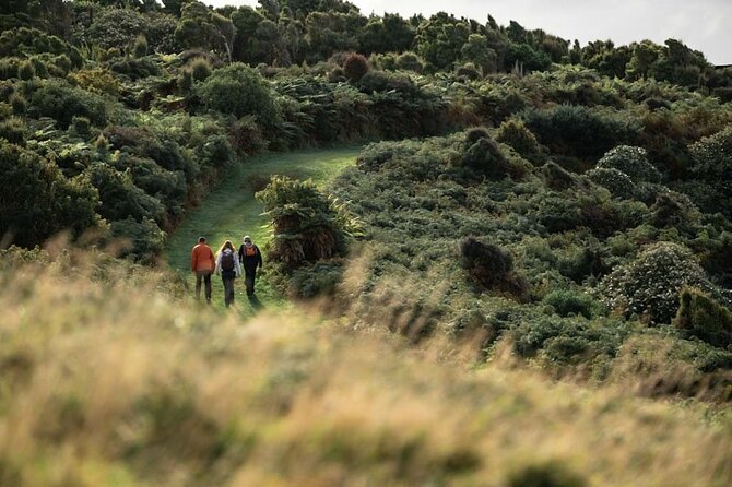 Stewart Island Guided Wilderness Walk - What $123.49 buys you