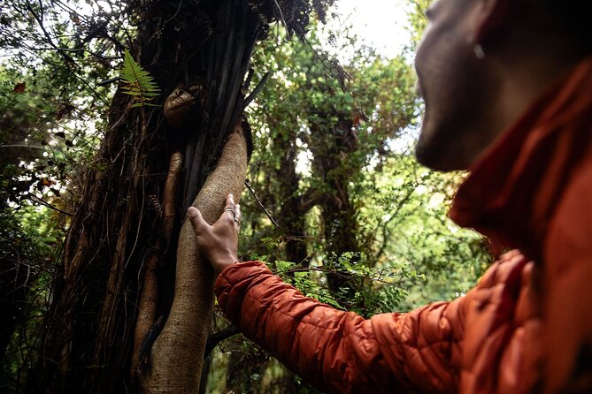 Stewart Island Guided Wilderness Walk - Who will get the most from this walk