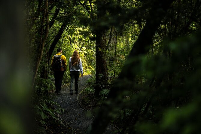 Stewart Island Guided Wilderness Walk - Timing, weather, and cancellation details