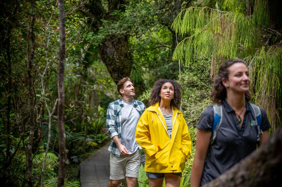 Stewart Island: Ulva Island Guided Wilderness Walk & Cruise - Practical details before you go