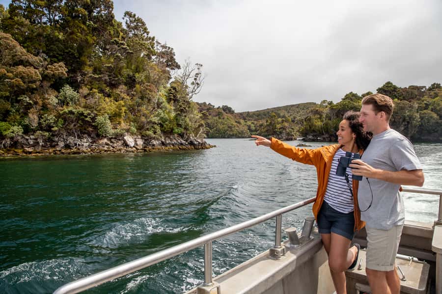 Stewart Island: Ulva Island Guided Wilderness Walk & Cruise - Why Ulva Island is the heart of the outing