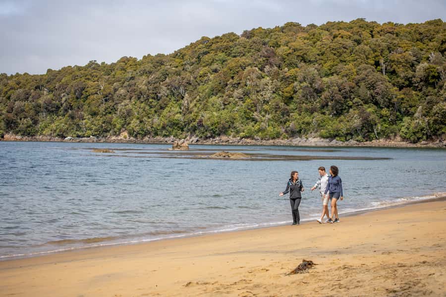 Stewart Island: Ulva Island Guided Wilderness Walk & Cruise - The Ulva Island walk, at an easy pace