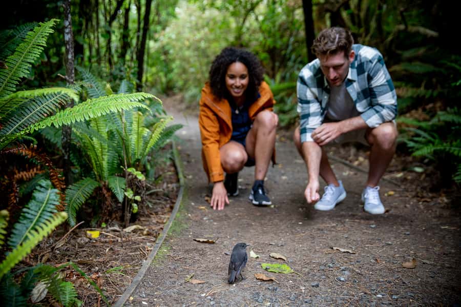 Stewart Island: Ulva Island Guided Wilderness Walk & Cruise - Weather, clothing, and comfort