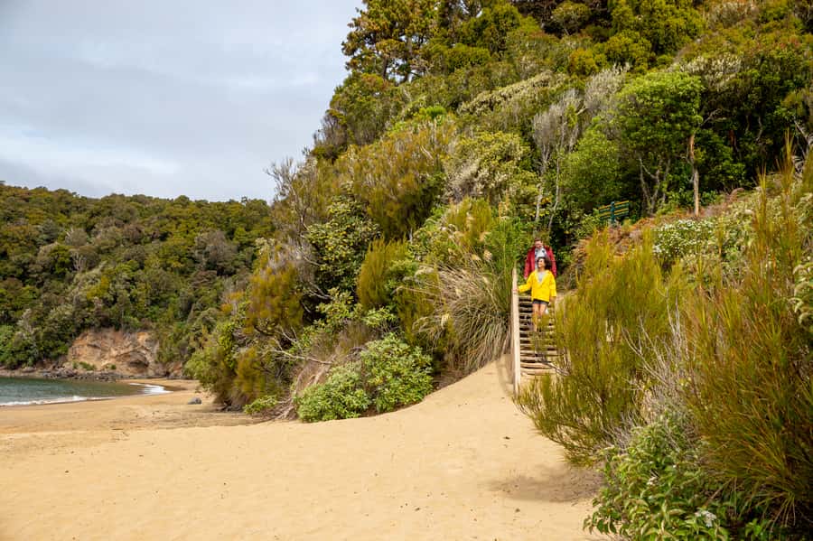 Stewart Island: Ulva Island Guided Wilderness Walk & Cruise - Is $86 good value?
