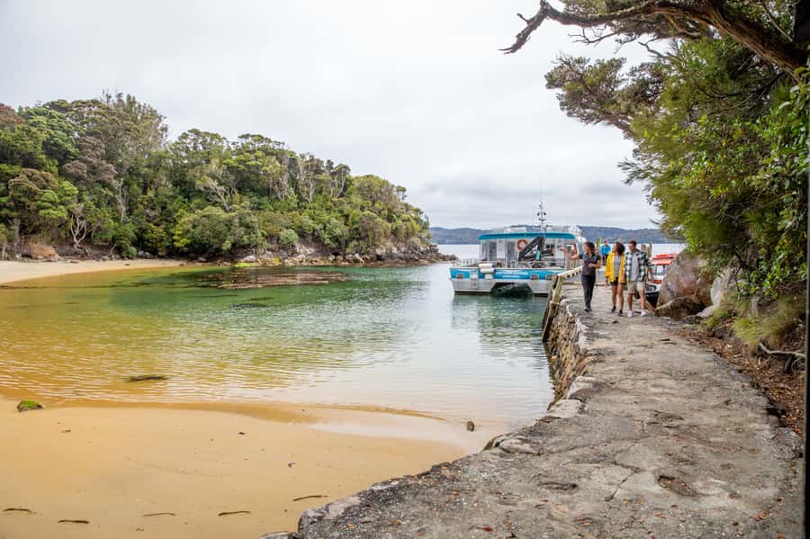 Stewart Island: Ulva Island Guided Wilderness Walk & Cruise - Who should book this experience?