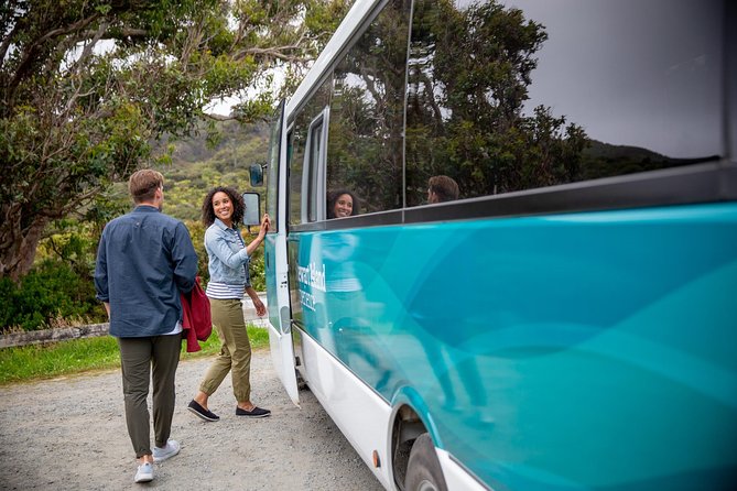 Stewart Island: Village and Bays Tour - Why This Tour Makes Sense on Stewart Island