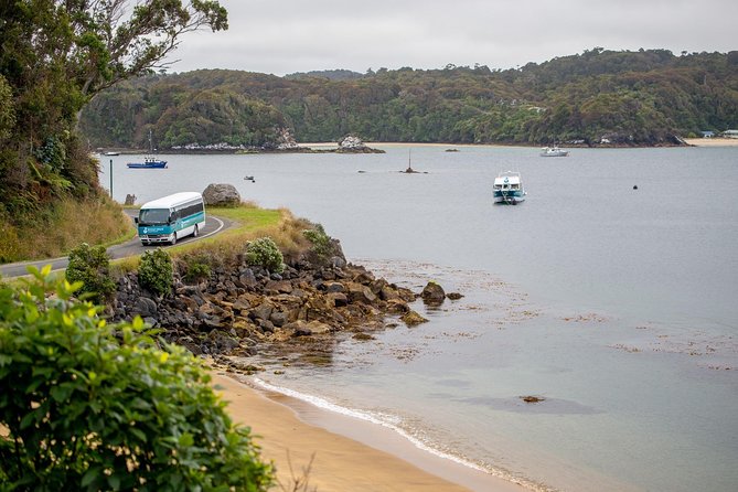 Stewart Island: Village and Bays Tour - Halfmoon Bay and Horseshoe Bay