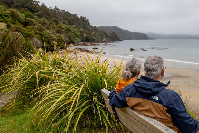Stewart Island: Village and Bays Tour - The Guide Can Make or Break the Hour