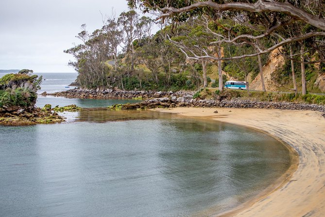 Stewart Island: Village and Bays Tour - A Good Choice for Day Trips and Limited Mobility