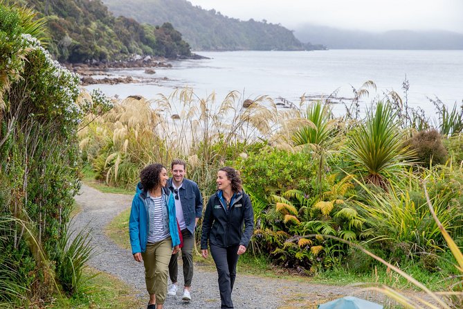 Stewart Island: Village and Bays Tour - Price, Timing, and What You Get