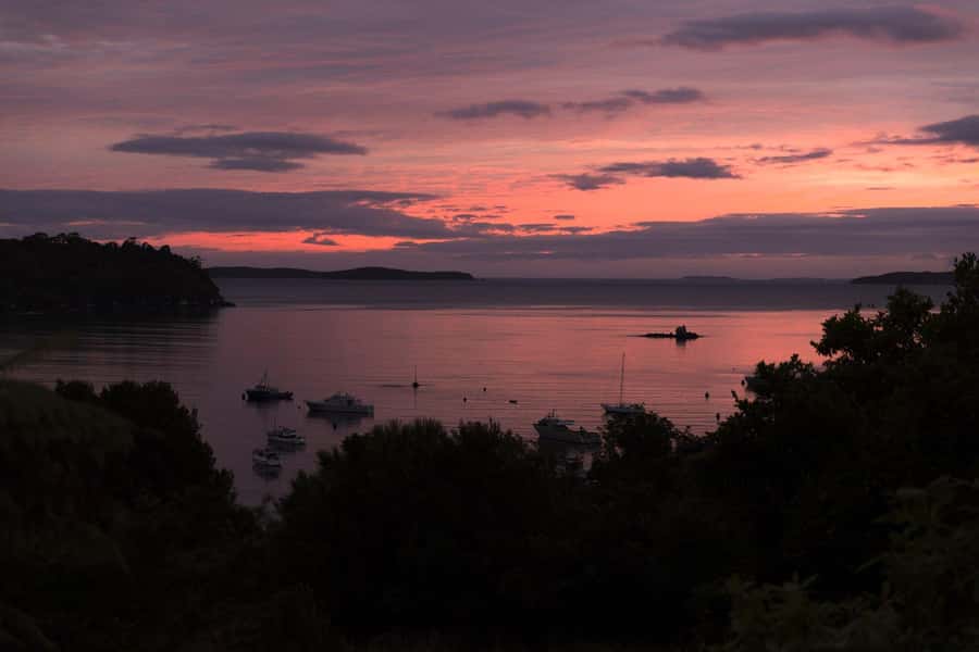 Stewart Island: Wild Kiwi Experiences - Who will enjoy this most?