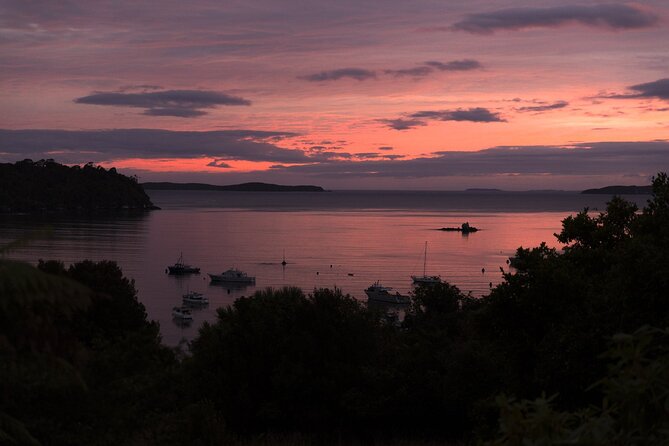 Stewart Island Wild Kiwi Experiences - The price and what you receive