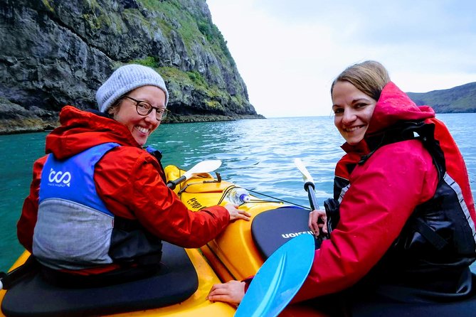 Sunrise wildlife sea kayaking in Akaroa marine reserve - Starting at the Akaroa Bowling Club