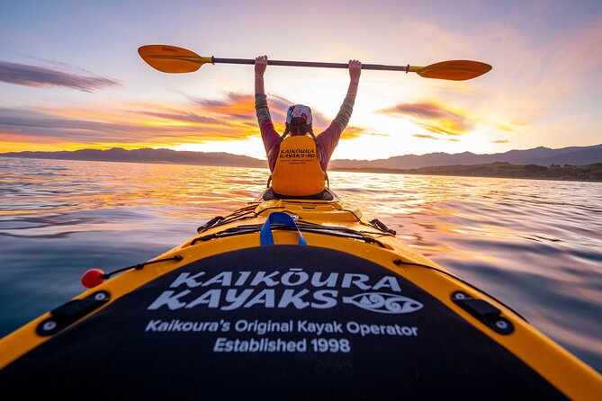 Sunset Evening Kayaking Tour - Kaikoura - Key points at a glance