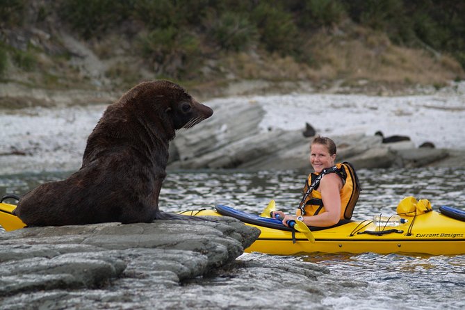 Sunset Evening Kayaking Tour - Kaikoura - Following the Kaikoura Peninsula Walkway by kayak