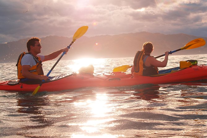 Sunset Evening Kayaking Tour - Kaikoura - When dolphins appear, the evening changes