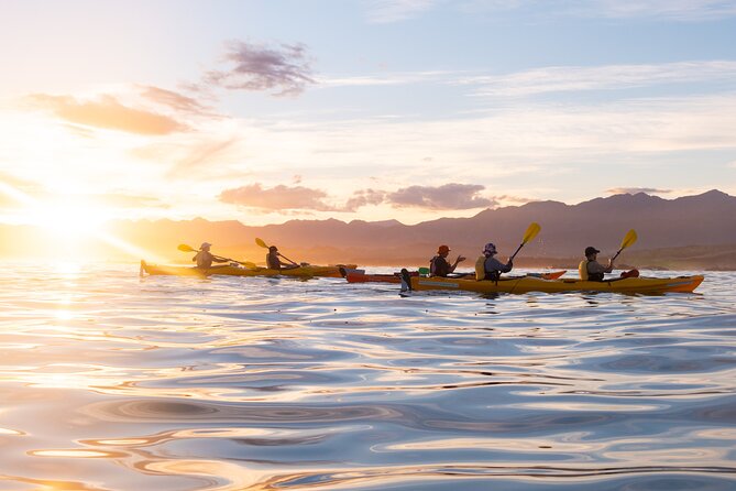 Sunset Evening Kayaking Tour - Kaikoura - From 17 Killarney Street to the water