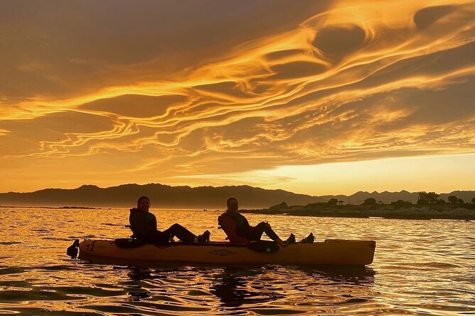 Sunset Kayak tour in Kaikoura - Key points at a glance