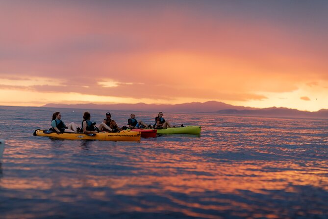 Sunset Kayak tour in Kaikoura - Why Kaikōura works so well from a kayak