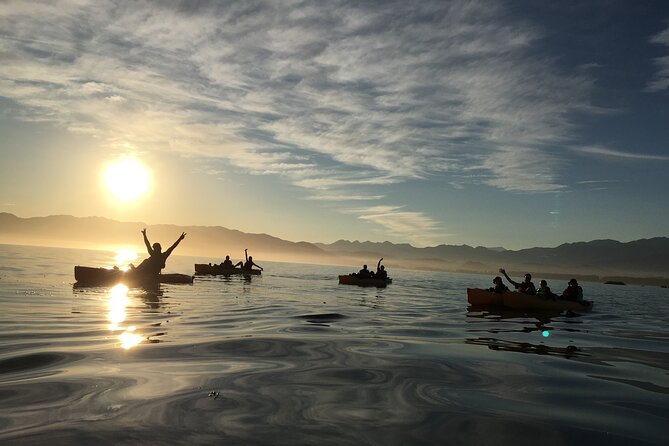 Sunset Kayak tour in Kaikoura - Following the peninsula toward the seals