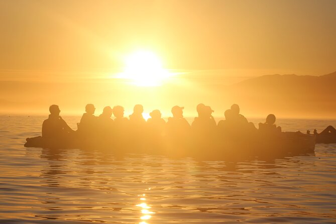 Sunset Kayak tour in Kaikoura - Blue penguins, albatross, and possible dolphins