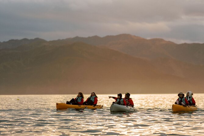 Sunset Kayak tour in Kaikoura - Who should book this kayak tour
