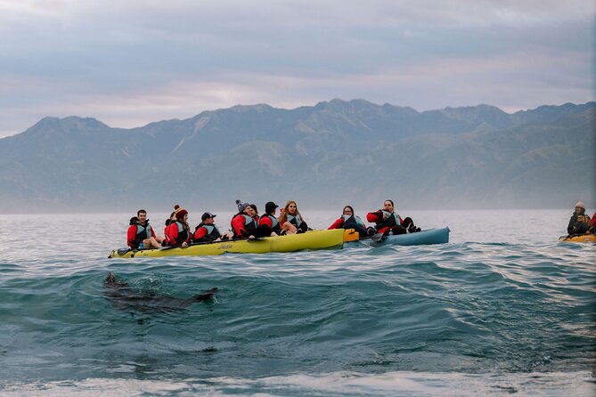 Sunset Kayak tour in Kaikoura - Starting at 5:30 pm on Beach Road