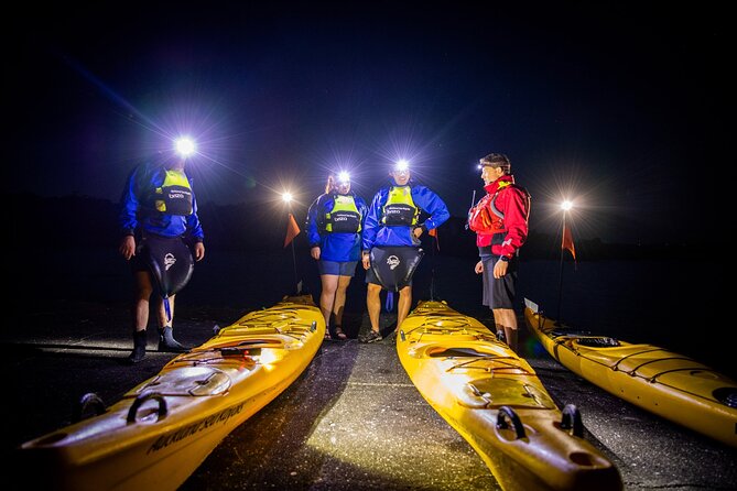 Sunset kayak tour to Rangitoto Island - The return paddle under Auckland’s lights