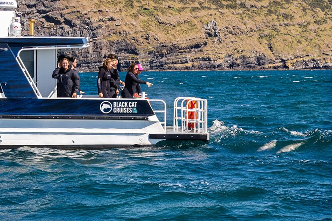 Swimming with Wild Dolphins in Akaroa - Children, health, and spectators