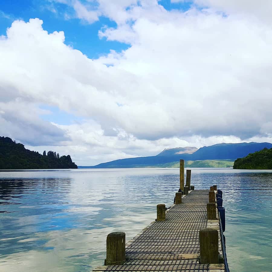 Tarawera and Lakes 2-Hour Duck Eco Tour - FAQ