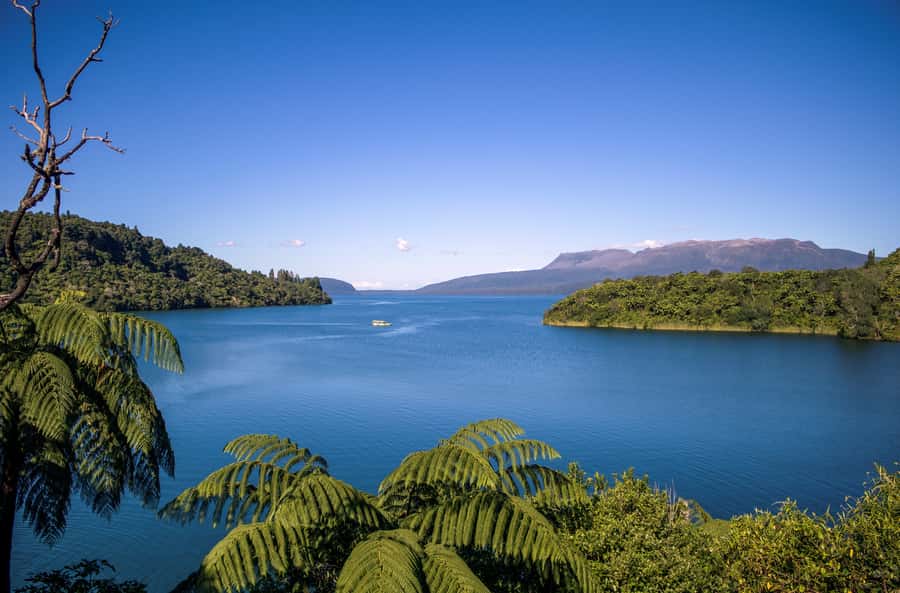 Tarawera and Lakes 2-Hour Duck Eco Tour - Leaving Rotorua for Lake Okareka