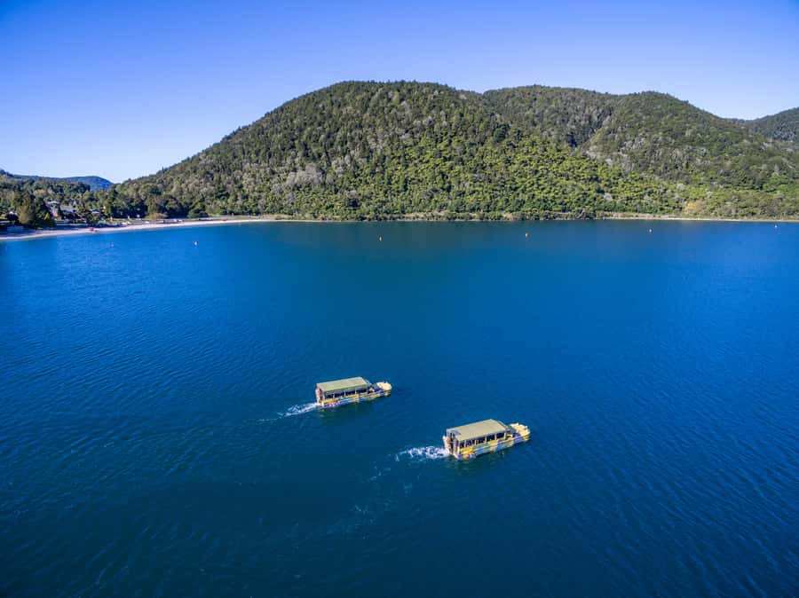Tarawera and Lakes 2-Hour Duck Eco Tour - The commentary: useful facts with a comic edge