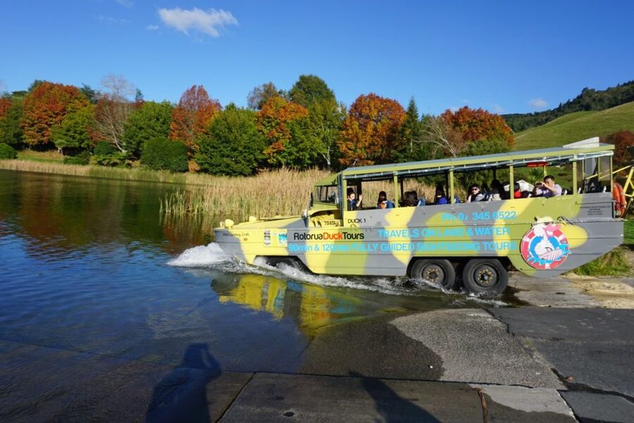 Tarawera and Lakes 2-Hour Duck Eco Tour - Should you book the Tarawera and Lakes Duck Tour?