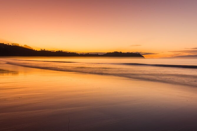 Taste of Waiheke Food and Wine Tour - The guide can make or break the day