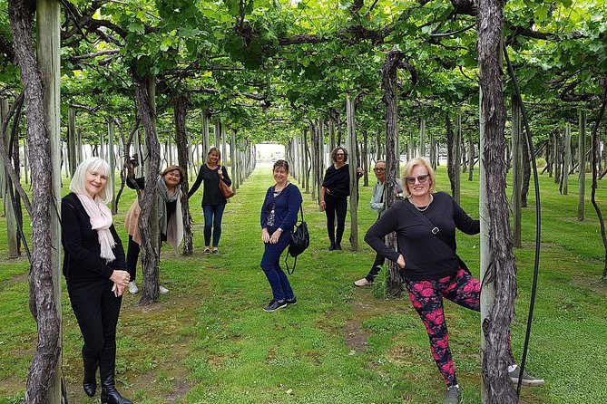 Taste the Valley Wine Tour in Marlborough with Wine Tasting - Door-to-door transport from Blenheim